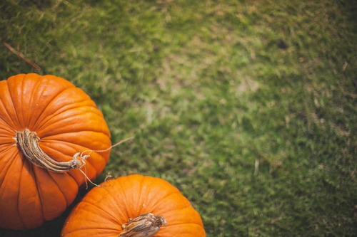 Pumpkins - building staff culture in the fall season