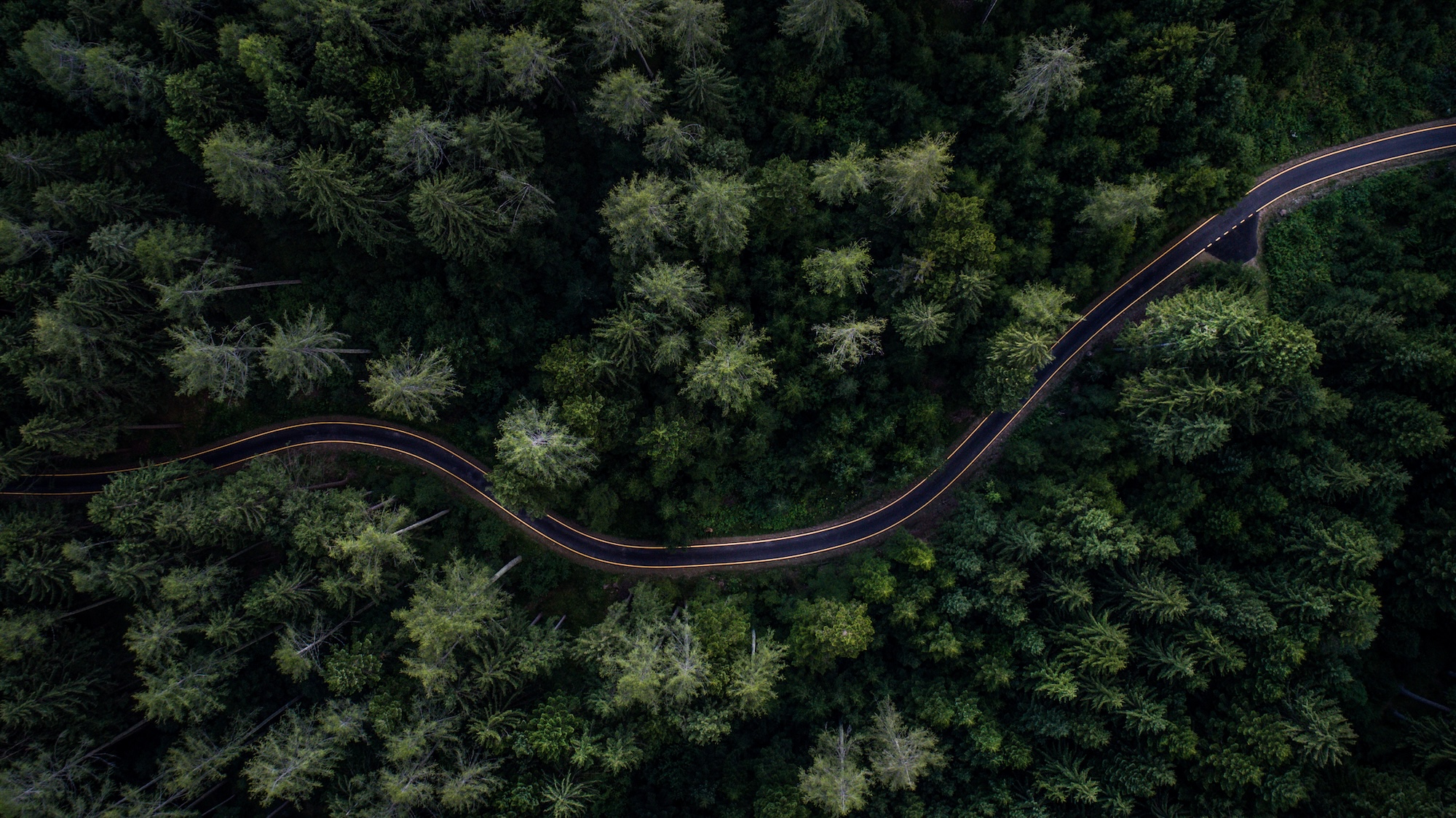 4 Critical Turning Points Your Church Must Tackle