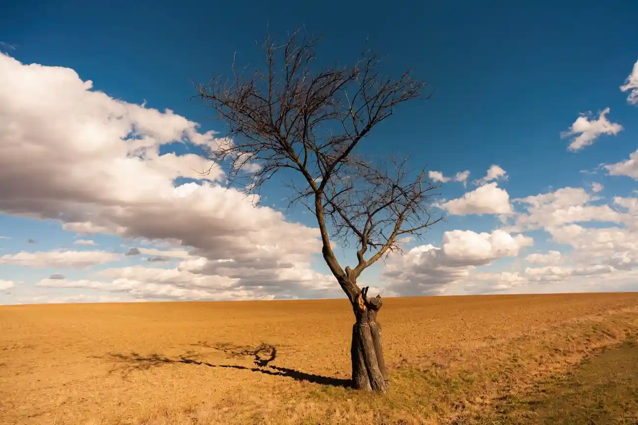 Four Signs Your Volunteers Are Getting Burned Out (And How to Fix It)